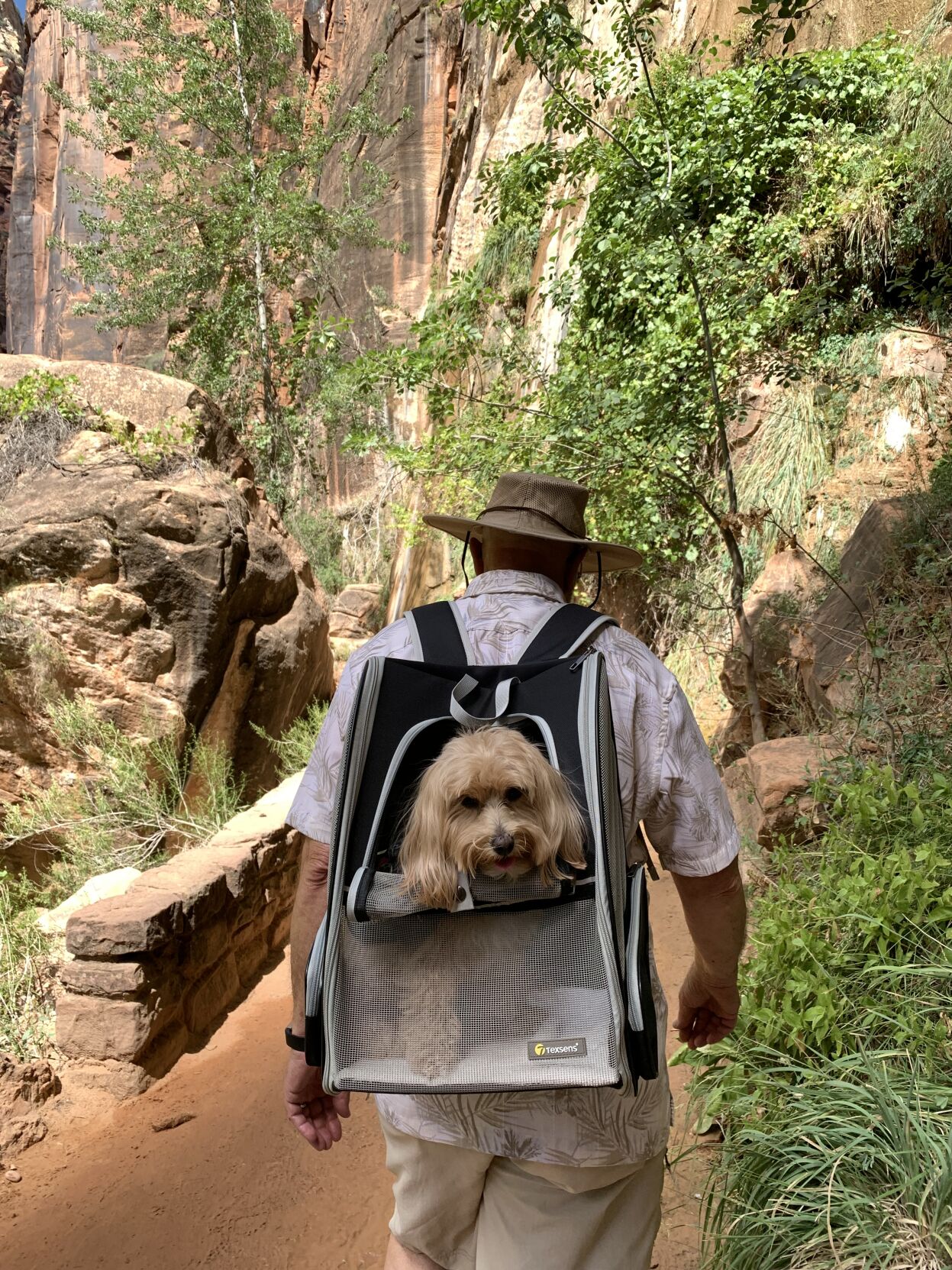 Gracie hiking